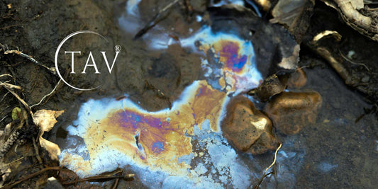 Cleaning with tomorrow in mind - water pollution starts at home!